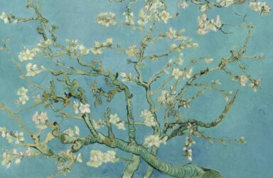 branches of creative nonfiction