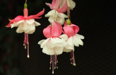 pen and pictures writing for photographers