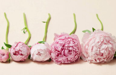 poetry revision intensive writing course