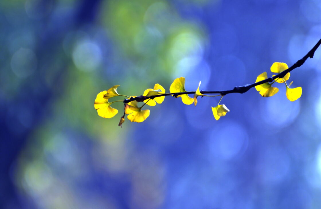 Sacred Vision: Writing Spiritual Poetry