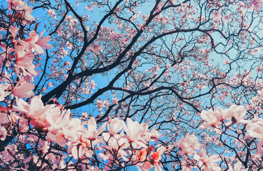 seasonal nature writing course