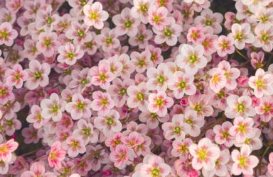 thirty tiny stories in thirty days