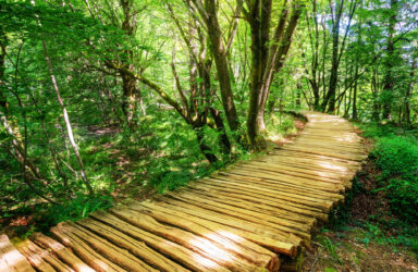 Writing Your Life's Stories Memoir Writing Course